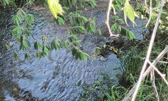 Imagem 7: Linda chácara na DF 495 a 500 mts do Ribeiro saia velha