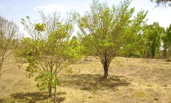 Imagem 2: Chácara de 27.500 m² em Bela Vista de Goiás