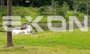 Imagem 7: Chácara em Mandirituba com 333.960 m² com Reflorestamento de Pinus