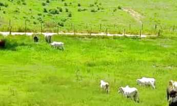 Imagem: Área de 5 mil metros