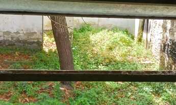 Imagem 7: Casa a venda no centro de Campina Grande PB