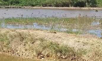 Imagem 3: Sítio com 9 viveiros camarão/peixes