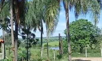 Imagem 6: 60 alqueires em Monte Aprazível/SP EXCELENTE LOCALIZAÇÃO: 8 km do asfalto