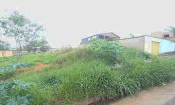 Imagem 2: LOTE NA AVENIDA NOVO IGARAPÉ