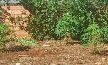 Imagem 4: Casa no Vederti I em Chapecó - SC