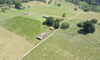 Imagem 2: Belíssima fazenda no recôncavo baiano