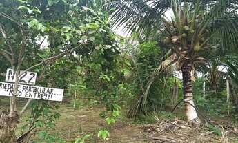 Imagem 2: VENDE-SE SÍTIO NA CARLOS BRAGA