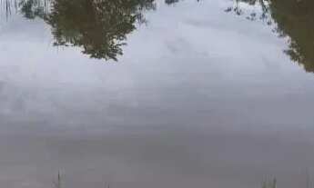 Imagem: Fazenda a venda em Britânia - Goiás