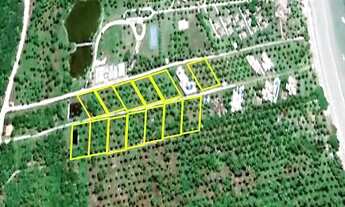 Imagem 4: Imóvel para venda com 13000 metros quadrados em Morro de São Paulo - Cairu - BA