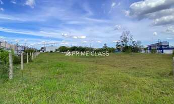 Imagem: Terreno no Igara