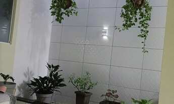 Imagem: Exatamente casa em Rosa dos Ventos