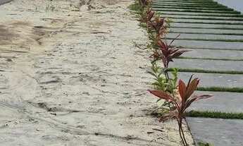 Imagem 7: Casa ampla com 750m2, modelo chácara