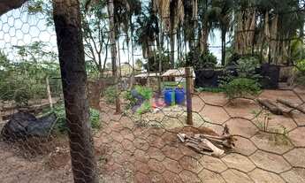 Imagem 6: Chácara com 3 dormitórios à venda - Est. Bortoluzzo