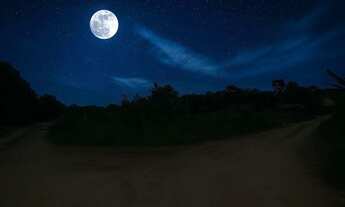 Imagem 5: Lotes à Venda em Guarapari R$ 5.000 mil de entrada, escriturado - Palmeiras