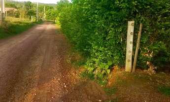 Imagem 4: Chácara proximo Aragoiânia