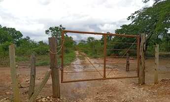 Imagem 2: Fazenda 23 hectares Juramento MG