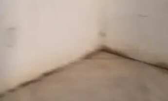 Imagem 2: Alugo espaço para trabalho para fazer marcenaria ou vc que trabalha com mármore espaço9x12