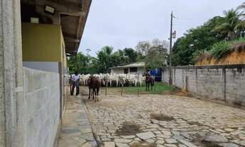 Imagem 7: Venda-se está belíssima propriedade de 10 alqueires no Município de Itapemirim/ES