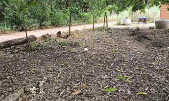 Imagem 2: Vende-se Terreno - Cinturão Verde