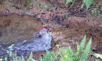 Imagem 6: Chácara em Estrada Conceição dos Correias - Morro Da Palha - Campo Magro/PR