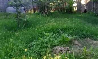 Imagem 6: AREA - JARDIM LAS VEGAS - SP