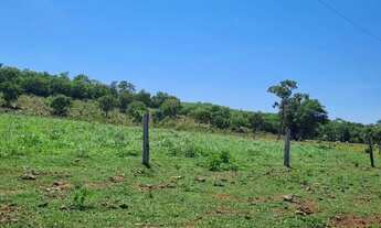 Imagem 5: EXCELENTE FAZENDA A VENDA EM CÁCERES