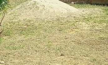 Imagem 2: Transfiro/vendo terreno em condomínio fechado