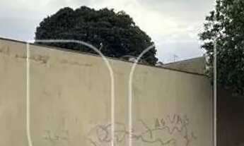 Imagem: Comercial em Nucleo Habitacional Nova Marilia