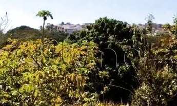 Imagem 7: Terreno à venda com 308 m² no Jardim Pinheiros, Valinhos