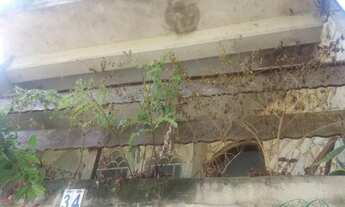 Imagem 2: Casa para alugar com 2 dormitórios em , cod:22909