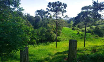 Imagem 3: Belíssimo Sítio entre Rio Rufino e Urubici