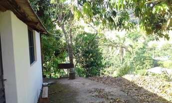 Imagem 4: Oportunidade Vende-se chácara no Areia Grossa