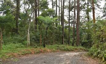 Imagem 6: Fazenda/Sítio/Chácara para venda tem 20.329,00 metros quadrados em Parelheiros - São Paulo