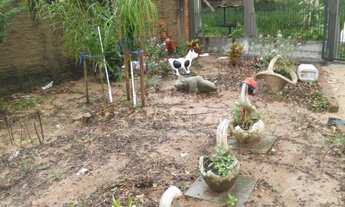 Imagem 4: Terreno para comprar no bairro Lami - Porto Alegre