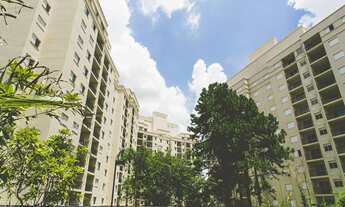 Imagem: Cobertura residencial para venda, Vila Ivone