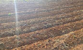 Imagem 2: Fazenda em monte alegre m.g 68 alqueires 26.000.000.00 ( ja -al