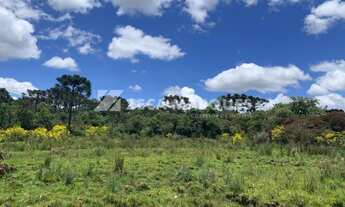 Imagem 4: Chácara á venda- Urubici-SC- Mundo Novo