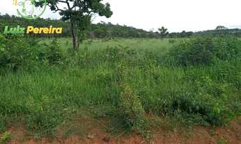 Imagem 2: FAZENDA À VENDA EM RIO NEGRO - MS - DE 480 HEC- (PECUÁRIA