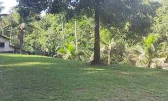 Imagem 7: Excelente Sitio Rua 8 Agro Brasil aceito carro