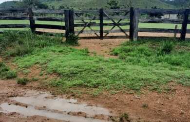 Imagem 4: Fazenda 173 alqueires com 170 de abertura!<br>região de São Félix do Xingu!