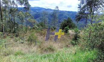 Imagem 5: Terreno à venda, 10000 m² por R$ 879.000,00 - Parque Água Santa - Campos do Jordão/SP