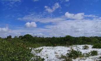 Imagem 6: Terreno\Área à venda, Zona Rural - Pirambu/SE