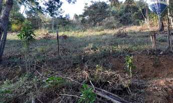 Imagem 4: Surpreendente oportunidade