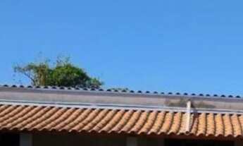 Imagem: Chácara para Venda em Biritiba-Mirim, Biritiba