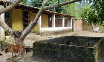 Imagem 6: Excelente terreno com 27 fruteiras mais casa