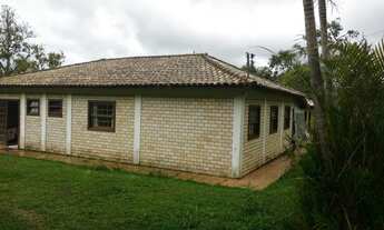 Imagem: Sitio no ratones