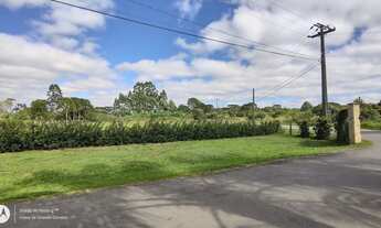 Imagem 3: Terreno Chácara Alameda dos Bosques - Pinhais - PR
