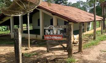 Imagem 6: Fazenda de Pecuária em Campinaçu-GO. > 255 Alq. (1.234 Há