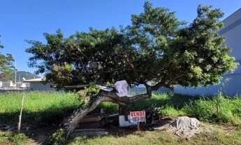 Imagem: Vendo Terreno medindo 382 m², em frente