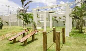 Imagem 7: SPAZZIO NAUTILUS